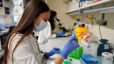 Un nuevo fármaco inmunológico demuestra su eficacia preclínica en el tumor cerebral más agresivo