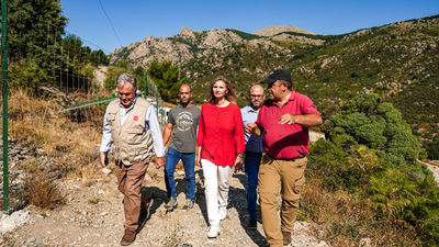 El Gobierno de Ayuso afirma que ya tiene plan de ahorro energético desde 2017