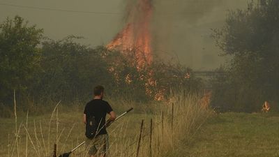 Los incendios queman en Galicia más de 1.200 hectáreas,  casi quinientas en Verín