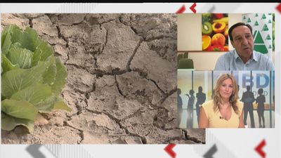 El sector del campo pide medidas al Gobierno para combatir la sequía