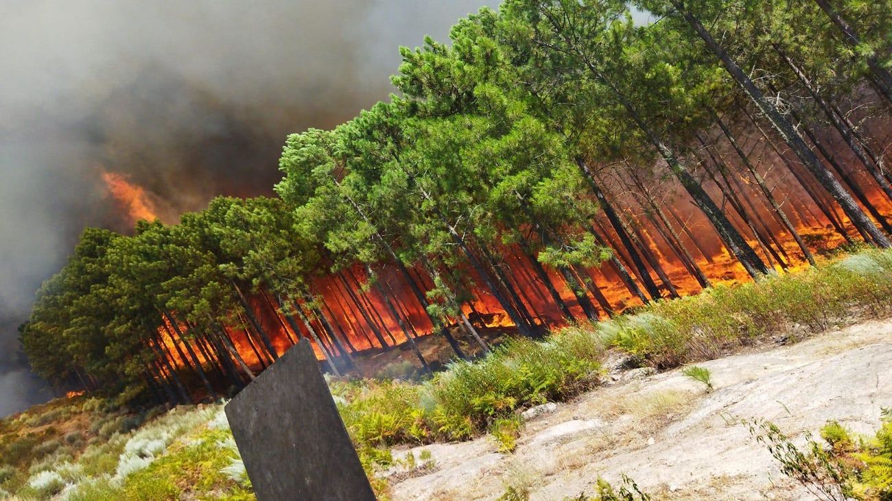 Un incendio forestal asola Santa Cruz del Valle en Ávila