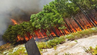 Un incendio forestal asola Santa Cruz del Valle en Ávila