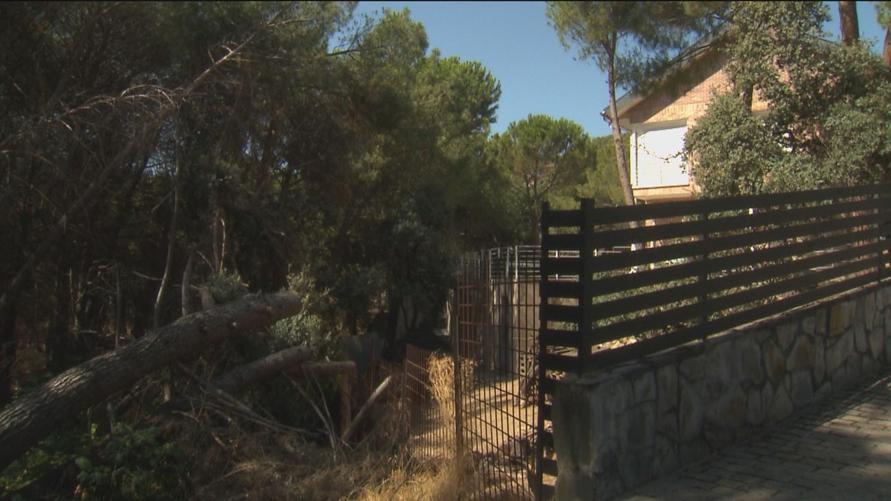 "Vivimos con miedo de que haya un incendio", los vecinos de Jara-Beltrán en Valdemorillo denuncian el estado de la urbanización