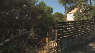 "Vivimos con miedo de que haya un incendio", los vecinos de Jara-Beltrán en Valdemorillo denuncian el estado de la urbanización