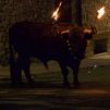 Muere un joven tras sufrir una cogida de  un toro embolado en Soneja, Castellón