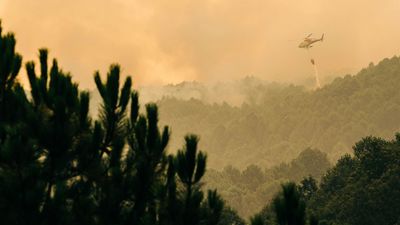 El incendio de Santa Cruz del Valle, en Ávila, avanza sin control y Madrid envía ayuda