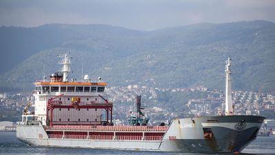 Llega a Turquía el primer buque con cereales ucranianos