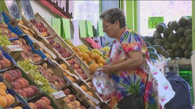 Consejos para ahorrar en la cesta de la compra