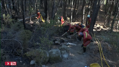 Asegurado el perímetro del incendio de Santa Cruz, de Ávila, tras una noche con pequeñas reproducciones