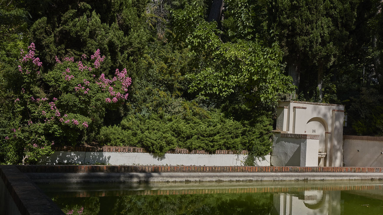 Estanque en el parque Quinta de los Molinos
