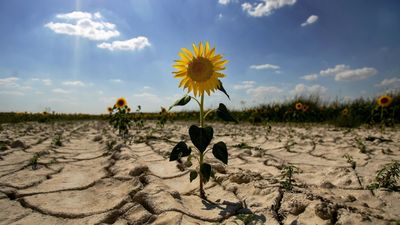 España es uno de los países más afectados por el cambio climático, según Greenpeace