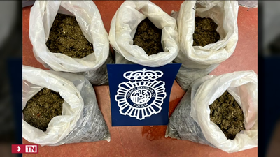 Pillados por la Policía mientras intentaban deshacerse de marihuana por el desagüe de su casa en Latina