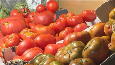 Disminuyen las compras y aumenta el uso de marcas blancas por el aumento de precios