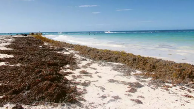 Un hombre muere enterrado por una duna en una playa de Florida
