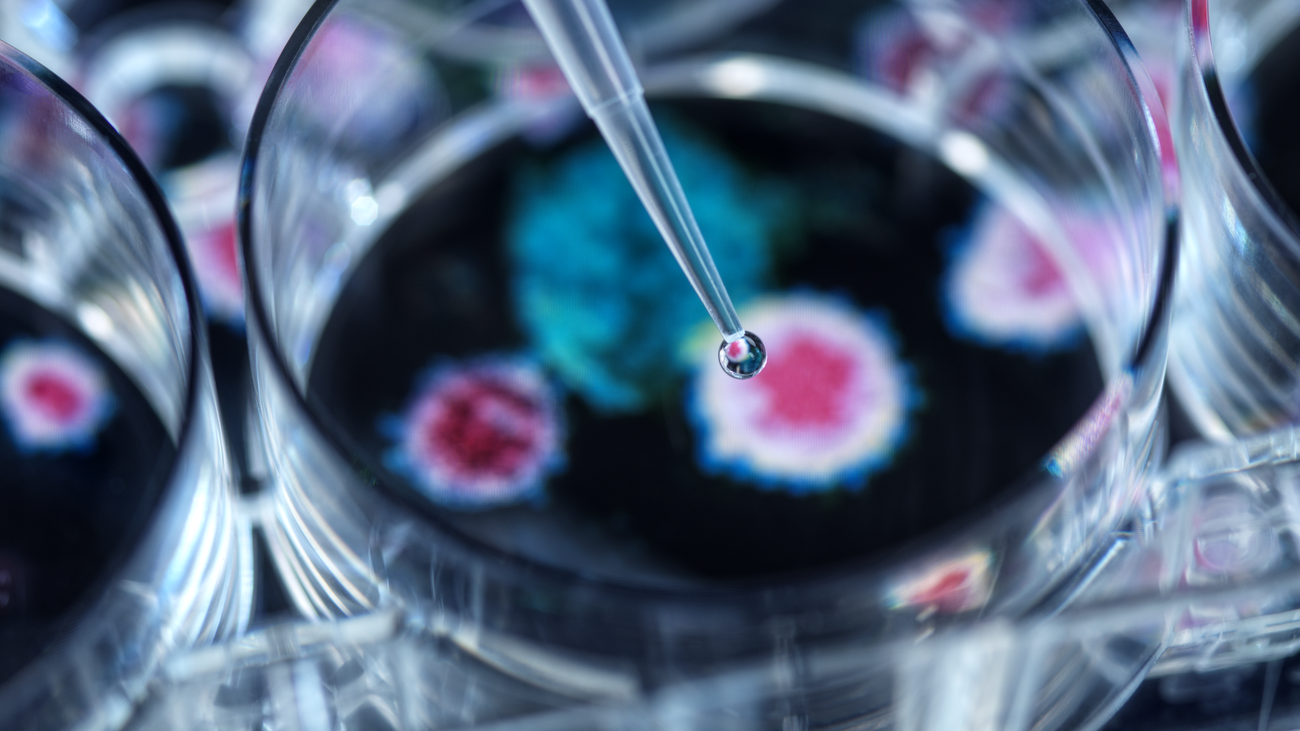 ¿Debemos preocuparnos por el Langya? El nuevo henipavirus de origen animal