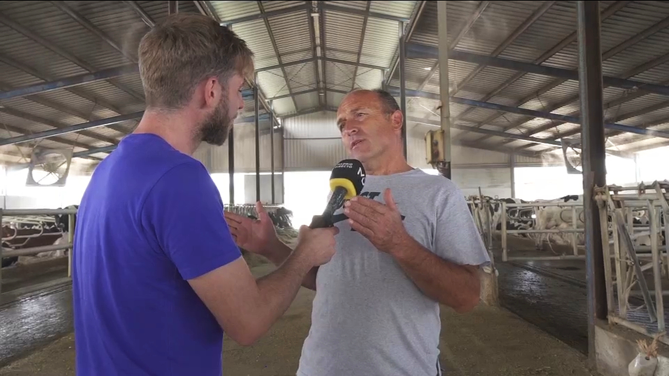 Los ganaderos, al límite: “Es más rentable llevarlas al matadero que tenerlas dando leche”