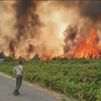 Estos son los grandes incendios en España que continúan activos en agosto