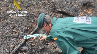 Detenido un vecino de La Coruña como presunto autor de un incendio forestal