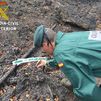 Detenido un vecino de La Coruña como presunto autor de un incendio forestal