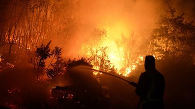 España lleva 51 grandes incendios y 248.000 hectáreas calcinadas hasta el 21 de agosto