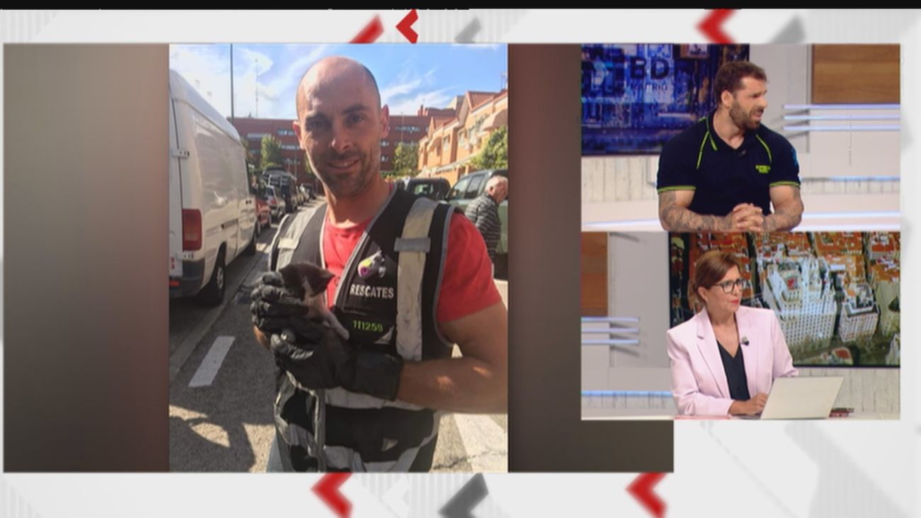 Los bomberos dedicarán a Alberto la bajada del cuadro de la Virgen de la Paloma