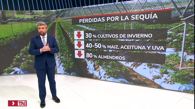 Las pérdidas en el campo por la sequía rondan los 8.000 millones de euros