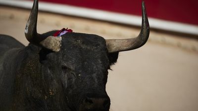 Las fiestas de Miraflores de la Sierra recuperan la tradición del 'toro del aguardiente'