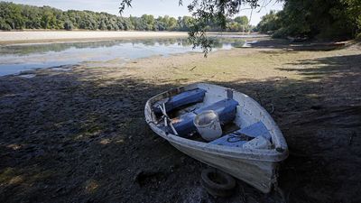 El nivel del Rin sigue bajando y pone en riesgo el transporte del carbón que Alemania necesita si Rusia reduce el suministro de gas