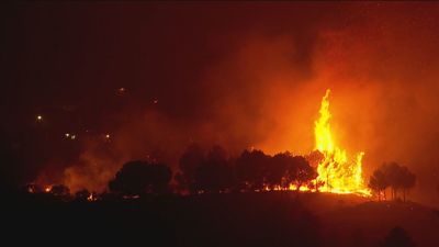 Incendios forestales: 1.500 desalojados en Moncayo, Zaragoza y la UME ya trabaja en el de Alicante