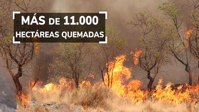 Autorizado el regreso de la mayoría de las personas desalojadas por el incendio del Moncayo, en Zaragoza