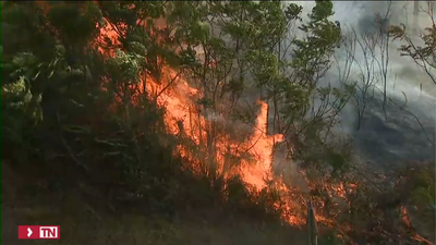 Los incendios, aun muy activos, calcinan unas 11.000 hectáreas y elevan los desalojos