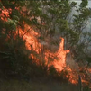 Los incendios, aun muy activos, calcinan unas 11.000 hectáreas y elevan los desalojos