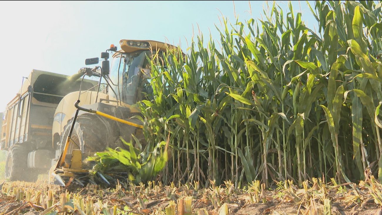 Las asociaciones agrarias piden al Gobierno un plan urgente para hacer frente a la sequía