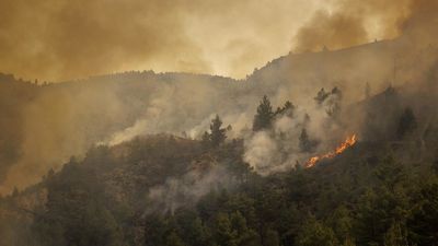 Tres heridos graves y ocho leves al salir de un tren afectado por el incendio de Bejís