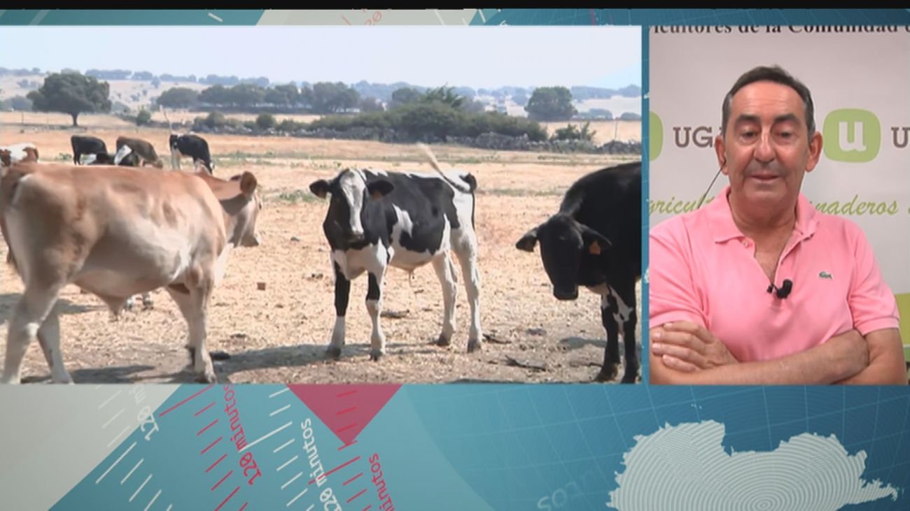 Los ganaderos alertan: "Nos vamos a quedar sin leche"