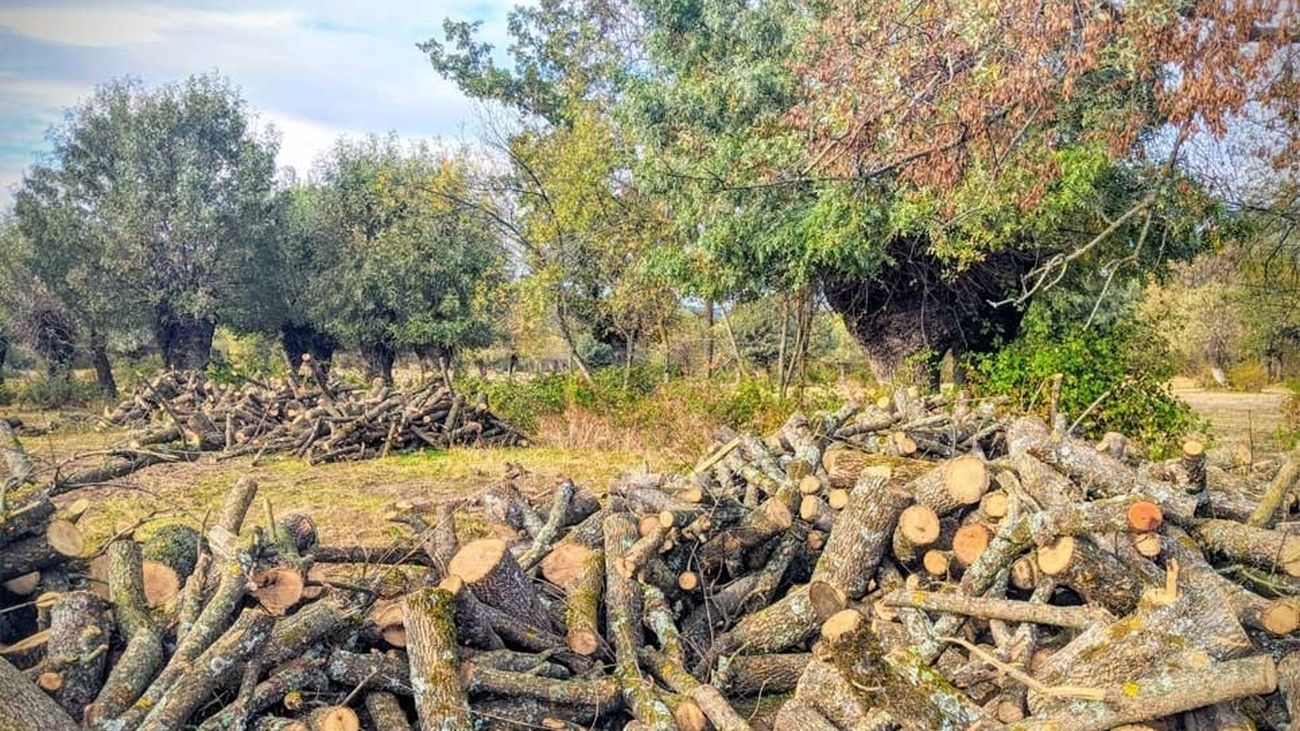 Aumenta la venta de leña ante el incremento del precio del gas