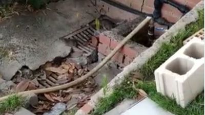 Las ratas campan a sus anchas en las dependencias de la Policía Local de Getafe