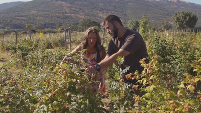 Nos vamos a comprar frutos del bosque en un supermercado autoservicio de Lozoya