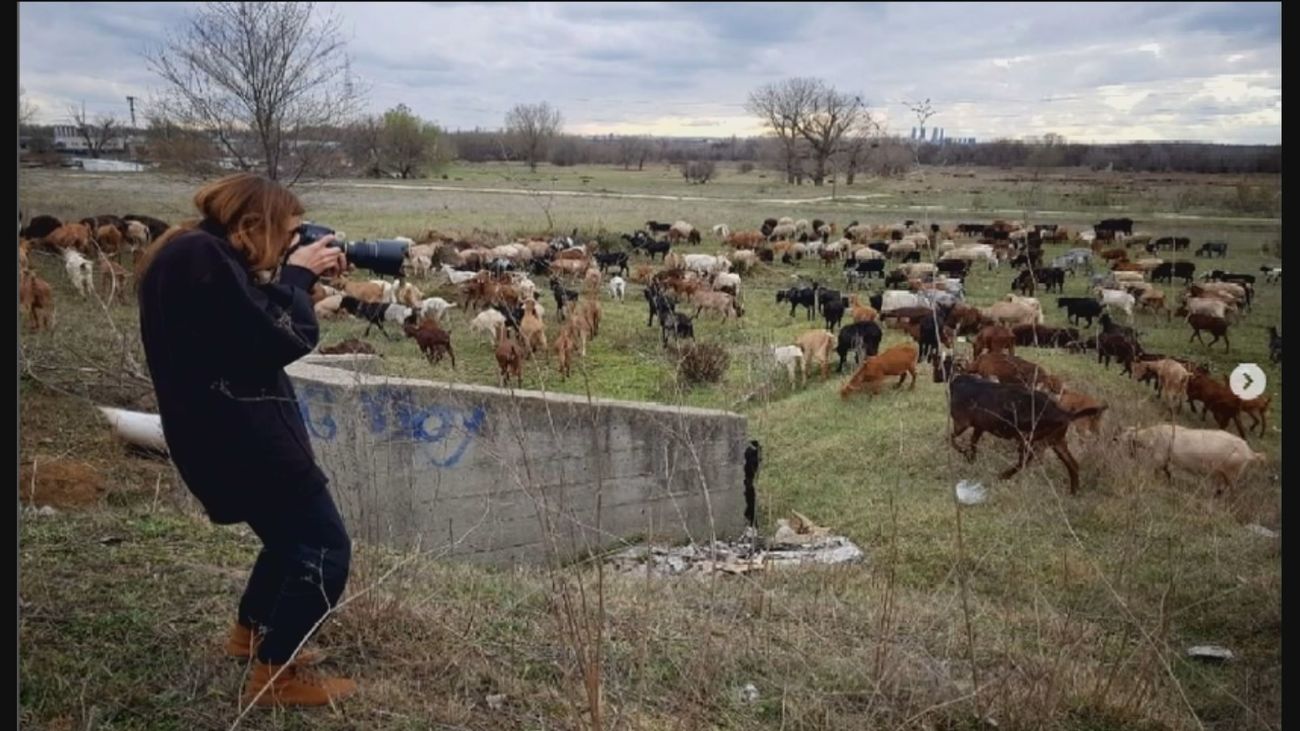 33 fotógrafos enriquecen el archivo regional  madrileño