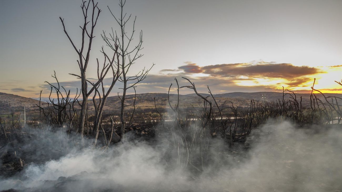El PP denuncia la pasividad del gobierno valenciano en la limpieza de los montes