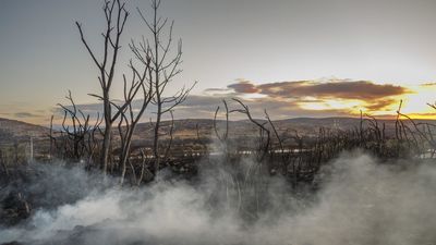El PP denuncia la pasividad del gobierno valenciano en la limpieza de los montes