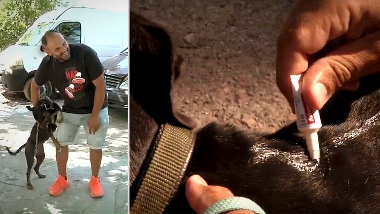 Un policía nacional lleva 6 años rescatando animales en la Cañada Real