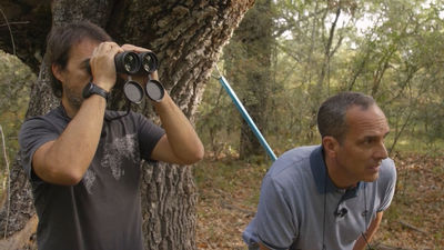 En busca del papamoscas cerrojillo en La Hiruela