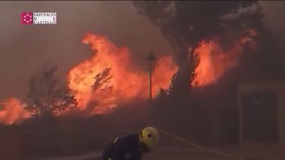 El PP acusa de pasividad al gobierno de Ximo Puig ante el estado de abandono de los montes valencianos