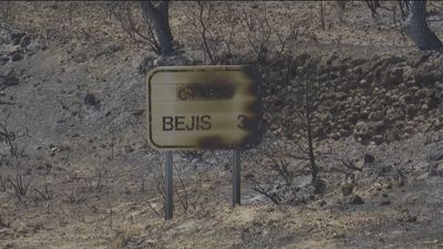 España ya es el país con más hectáreas quemadas en Europa: 306.500