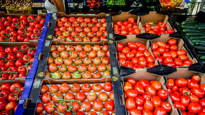 Colmenar Viejo busca el tomate más grande. Recompensa: un queso