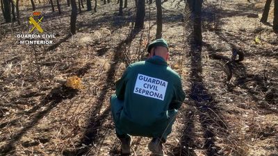 Investigan a un hombre que pudo provocar 8 incendios en Talayuela, Cáceres
