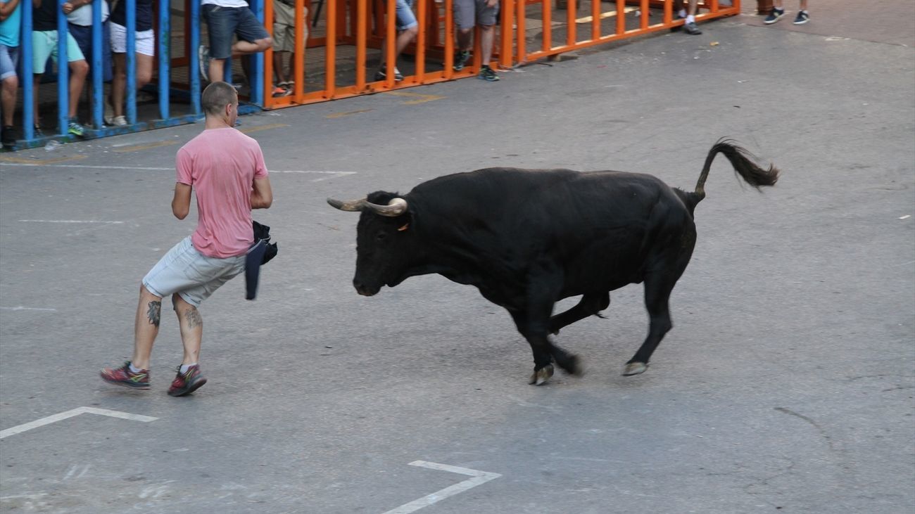 Una persona participan en un festejo taurino en la calle
