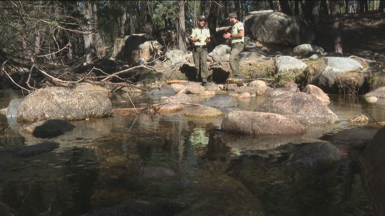Prohibido el baño en La Pedriza a pesar de que algunas personas se sigan bañando