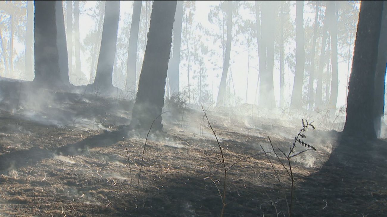 El Gobierno declara zona catastrófica los territorios afectados por el fuego de este verano